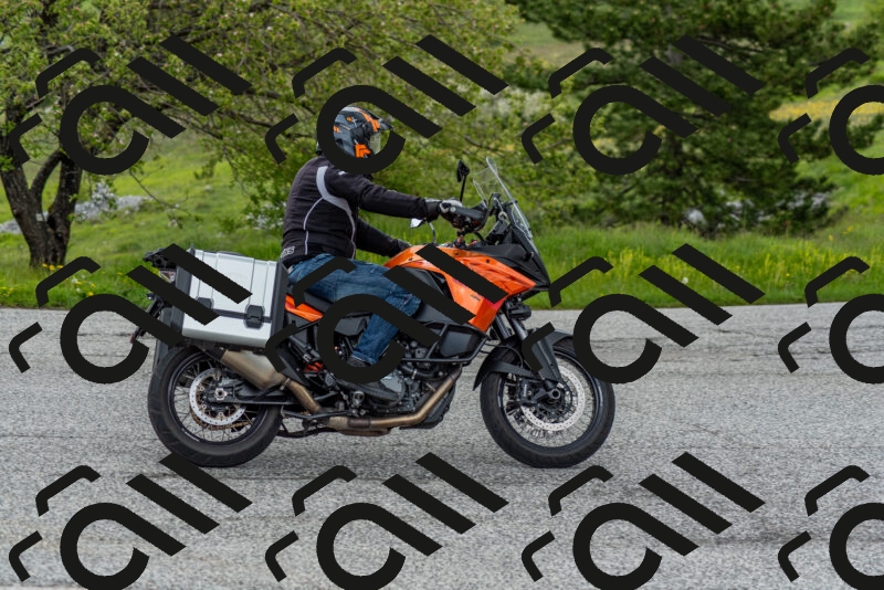 202505171225-DSC_7000_c2