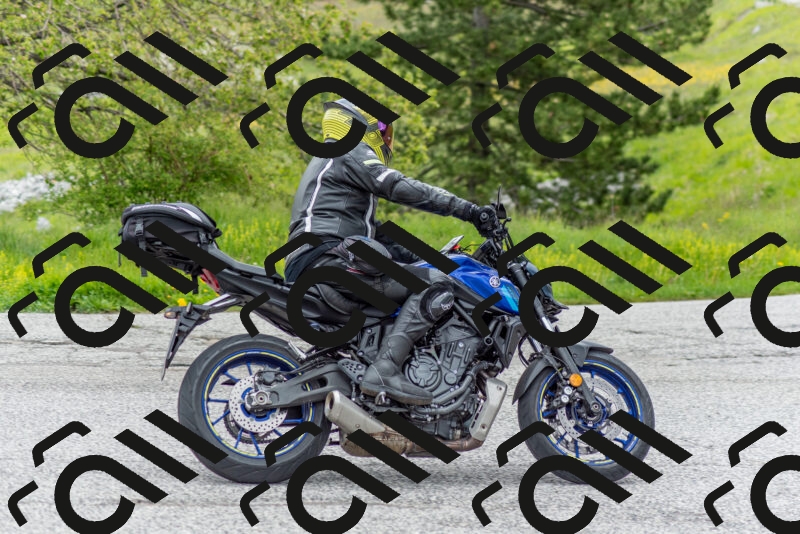 202505171229-DSC_7004_c2