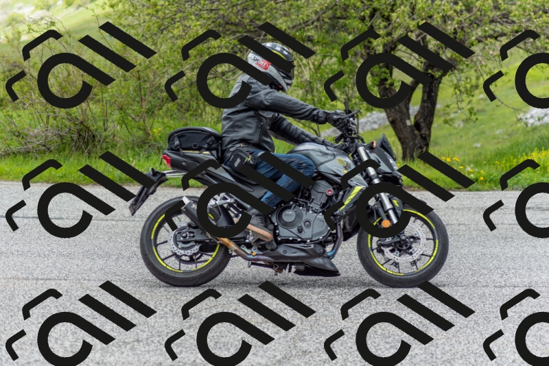 202505171229-DSC_7012_c2