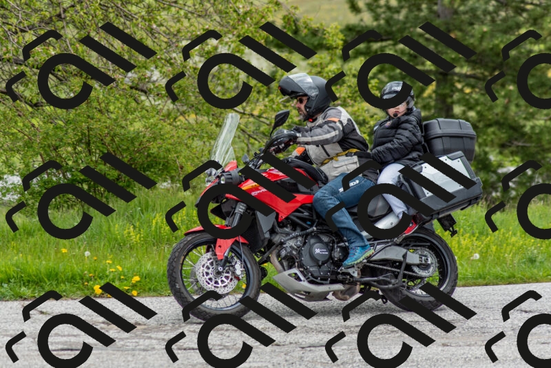 202505171230-DSC_7018_c2