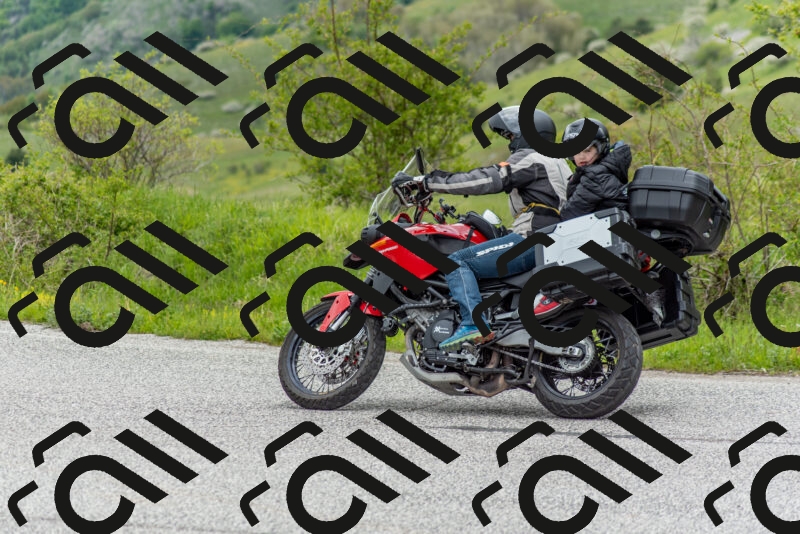 202505171231-DSC_7019_c2