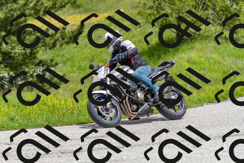 202505171240-DSC_7030_c2