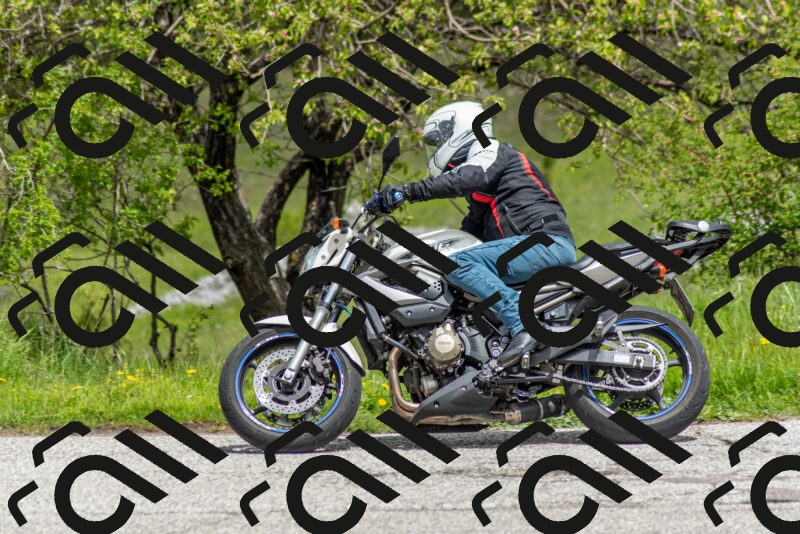 202505171240-DSC_7032_c2