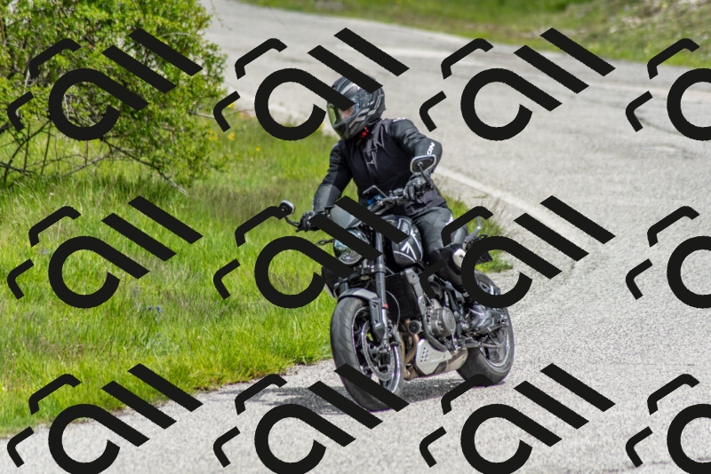 202505171240-DSC_7033_c2