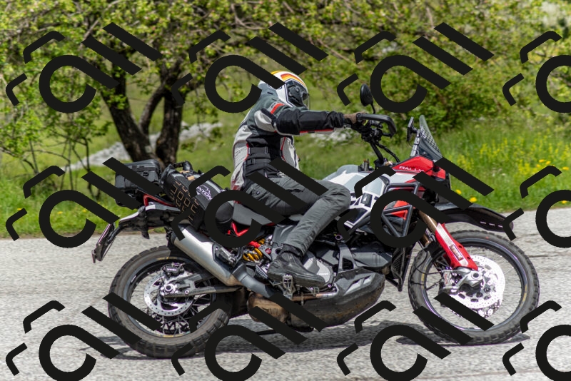 202505171245-DSC_7044_c2