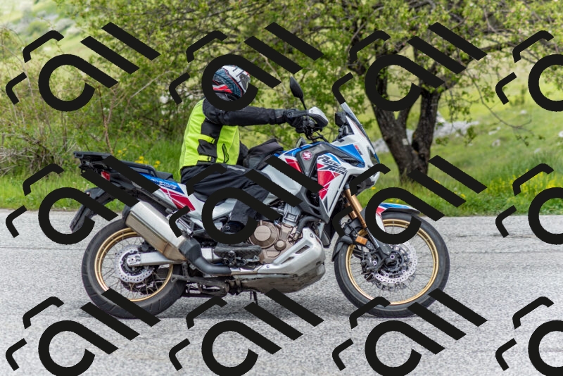 202505171250-DSC_7065_c2