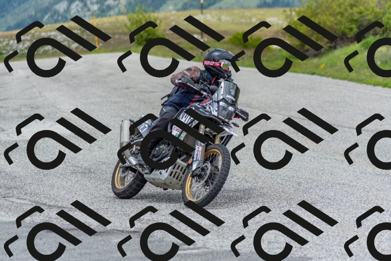 202505171250-DSC_7067_c2