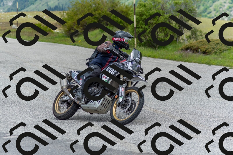 202505171250-DSC_7068_c2