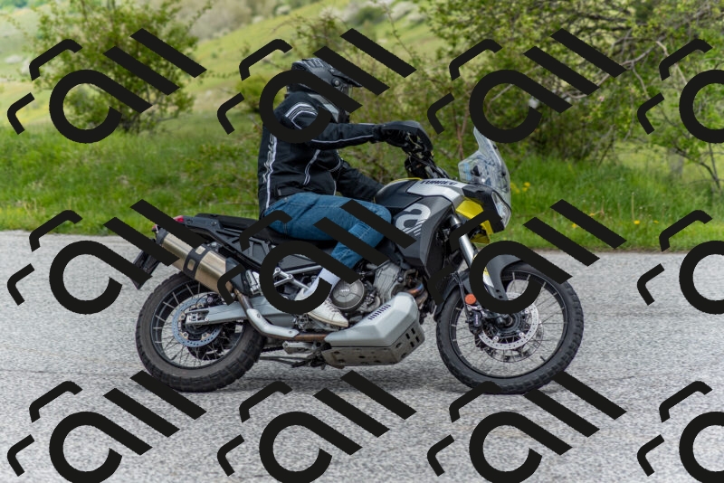 202505171250-DSC_7071_c2