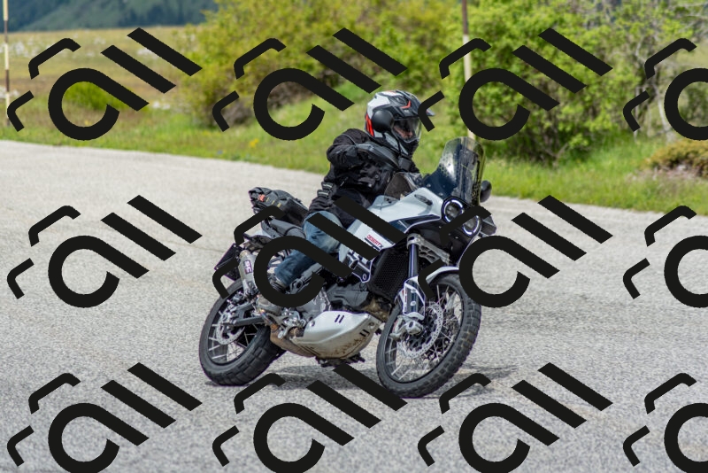 202505171252-DSC_7079_c2