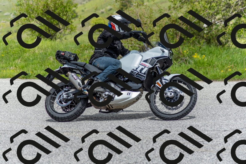 202505171252-DSC_7081_c2