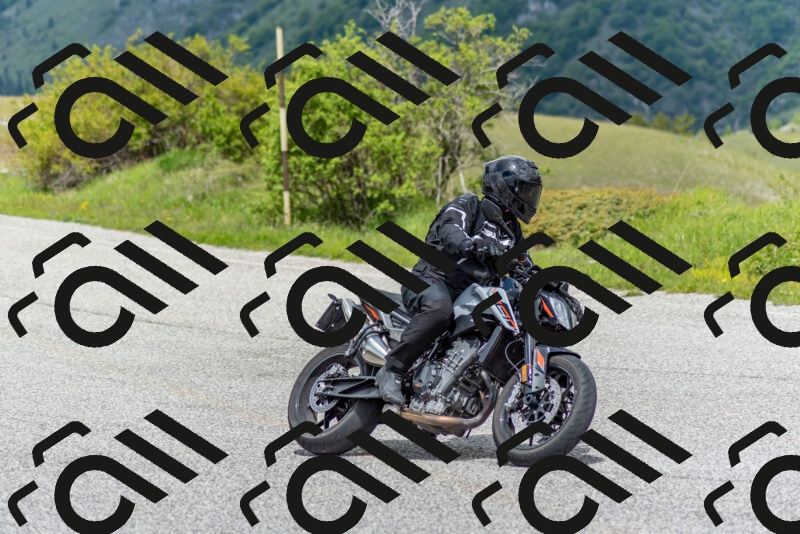 202505171252-DSC_7082_c2