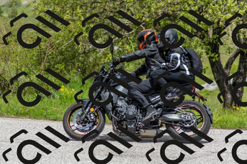 202505171254-DSC_7113_c2