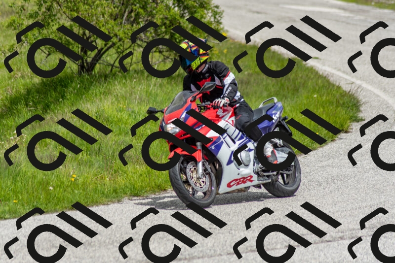 202505171255-DSC_7115_c2