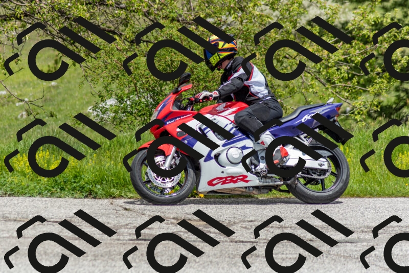 202505171255-DSC_7116_c2