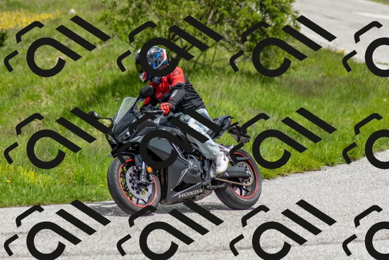 202505171255-DSC_7117_c2