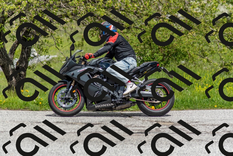 202505171255-DSC_7118_c2