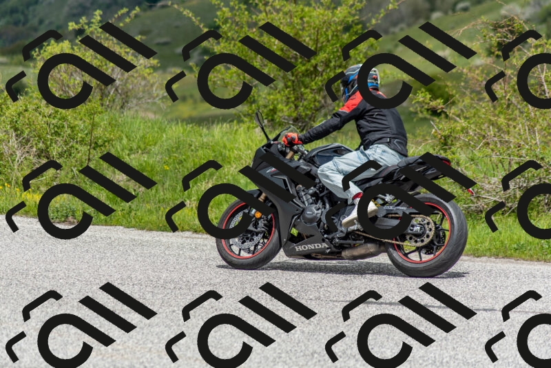 202505171255-DSC_7119_c2