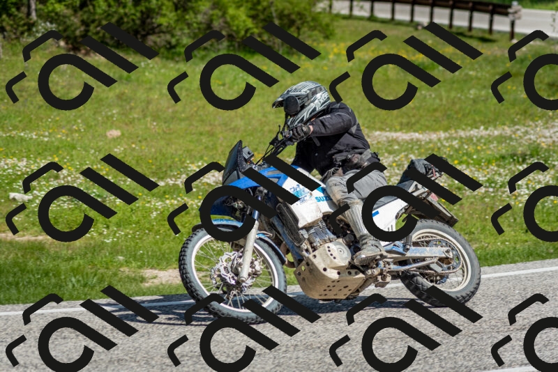 202505181008-DSC_7132_c2