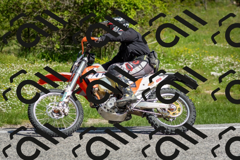 202505181009-DSC_7142_c2