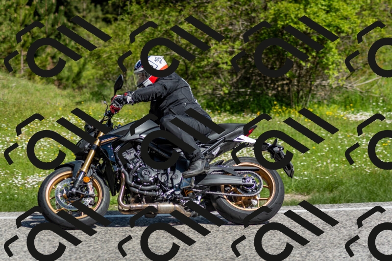 202505181009-DSC_7156_c2