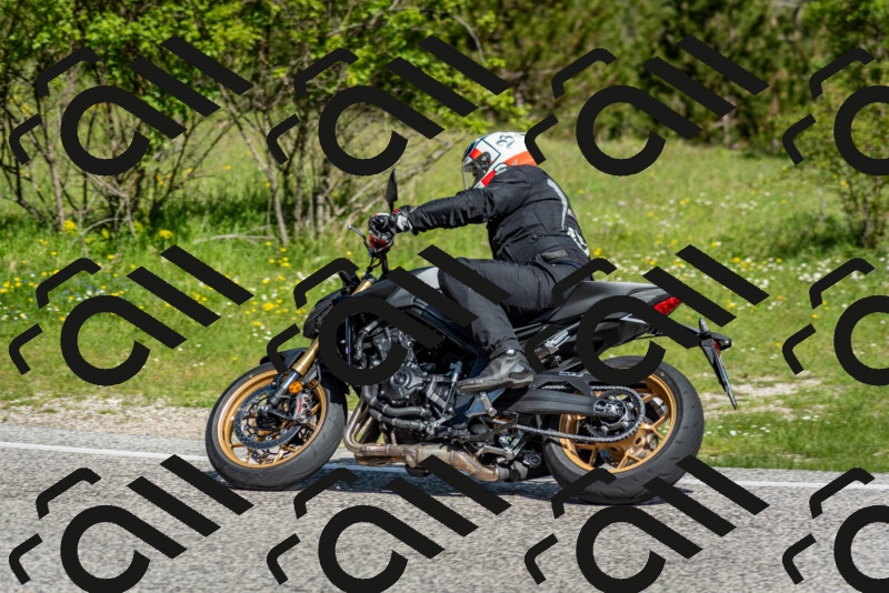 202505181009-DSC_7157_c2