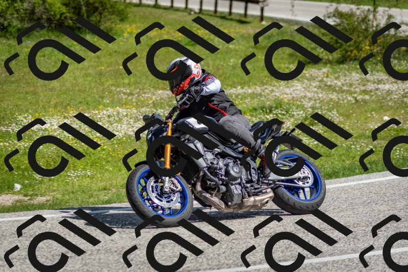 202505181012-DSC_7161_c2