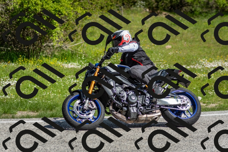 202505181012-DSC_7162_c2