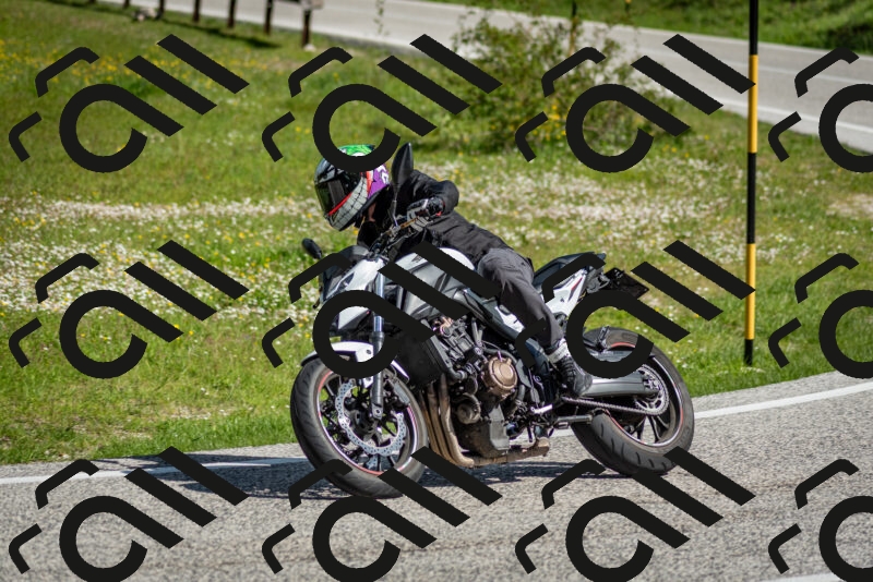 202505181012-DSC_7163_c2