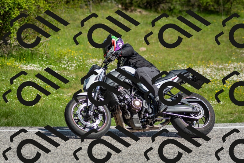 202505181012-DSC_7164_c2