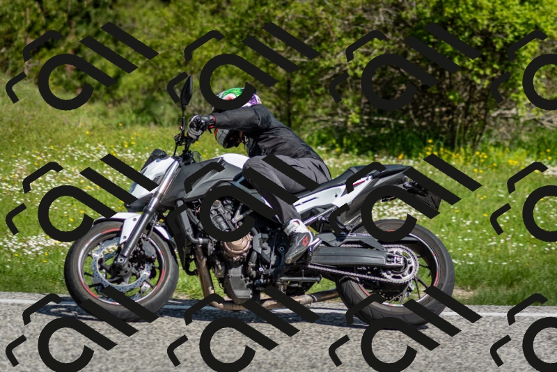 202505181012-DSC_7165_c2