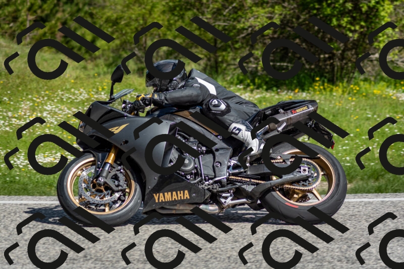 202505181013-DSC_7170_c2