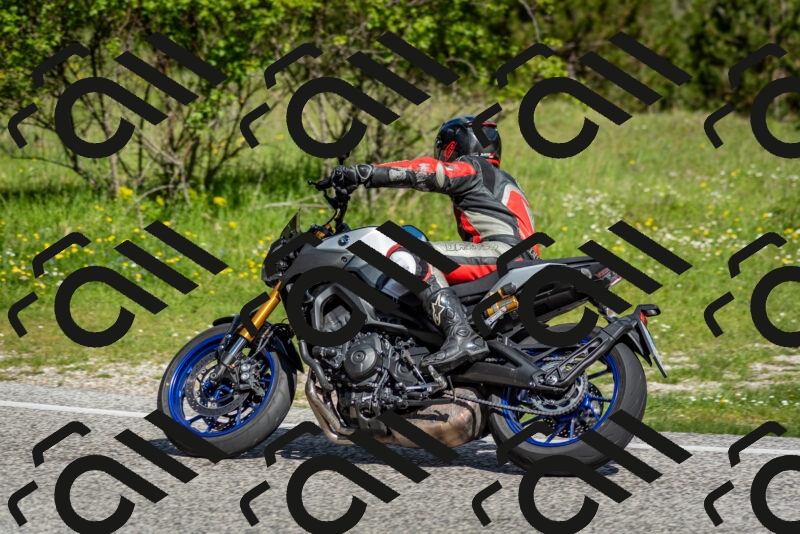 202505181013-DSC_7174_c2