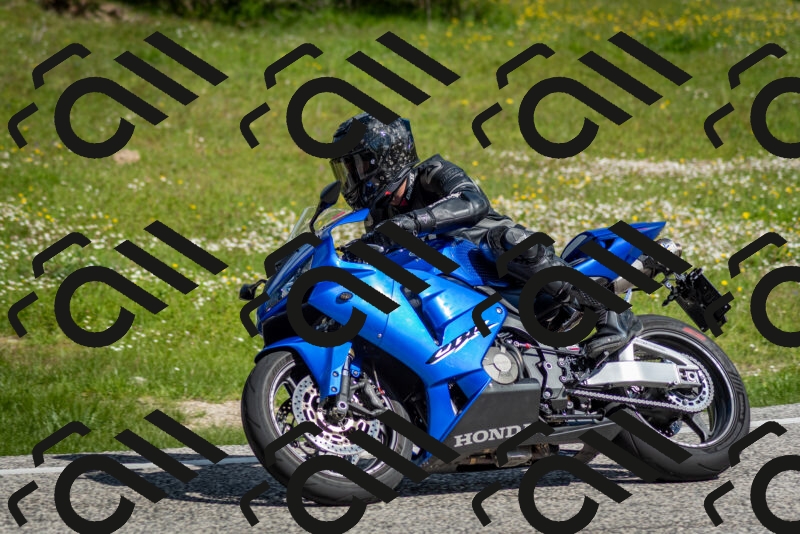 202505181013-DSC_7175_c2