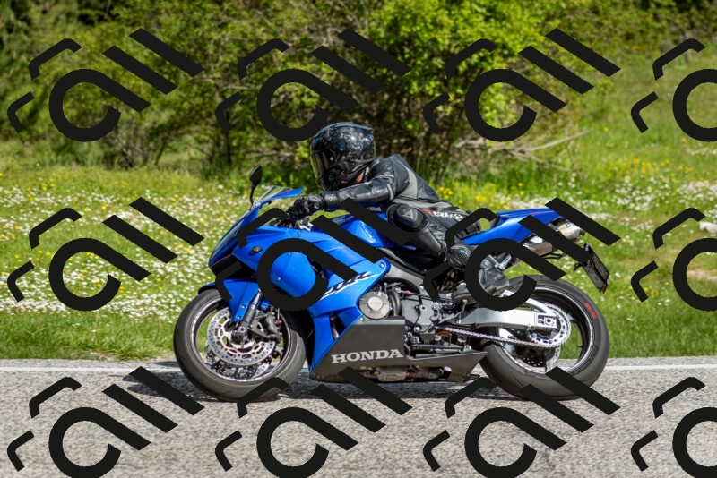 202505181013-DSC_7176_c2