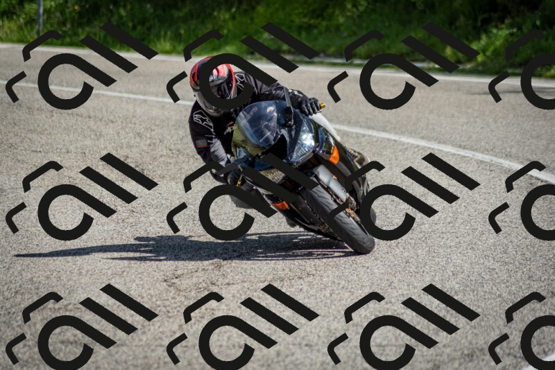 202505181013-DSC_7182_c2