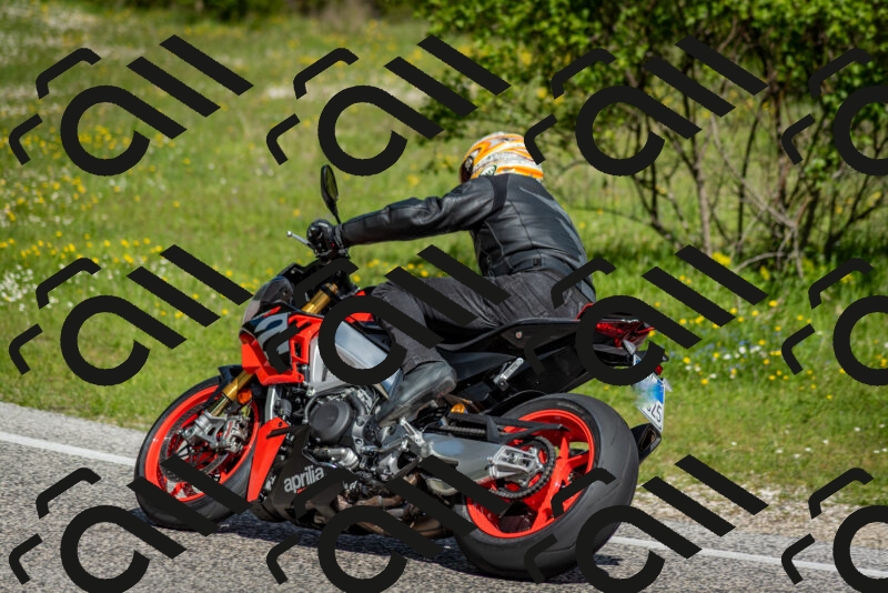 202505181014-DSC_7196_c2