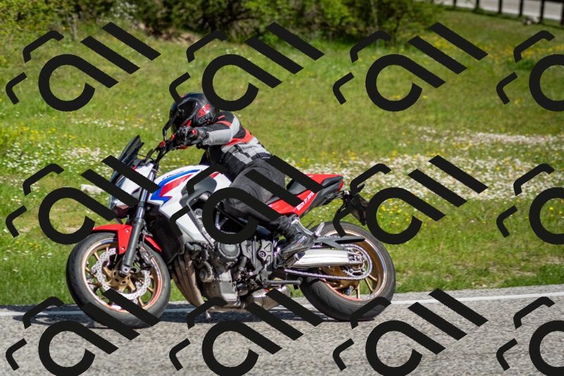 202505181014-DSC_7201_c2