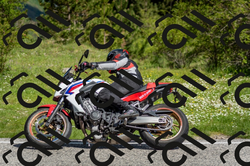 202505181014-DSC_7202_c2