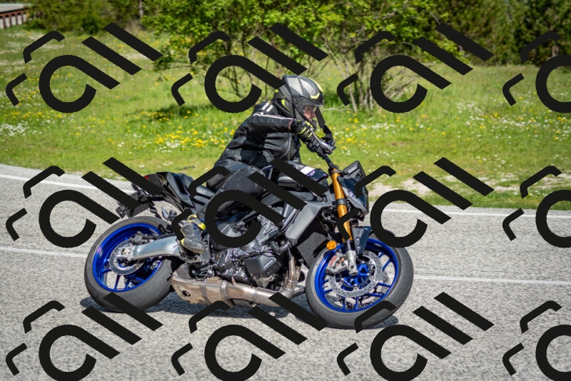 202505181016-DSC_7217_c2