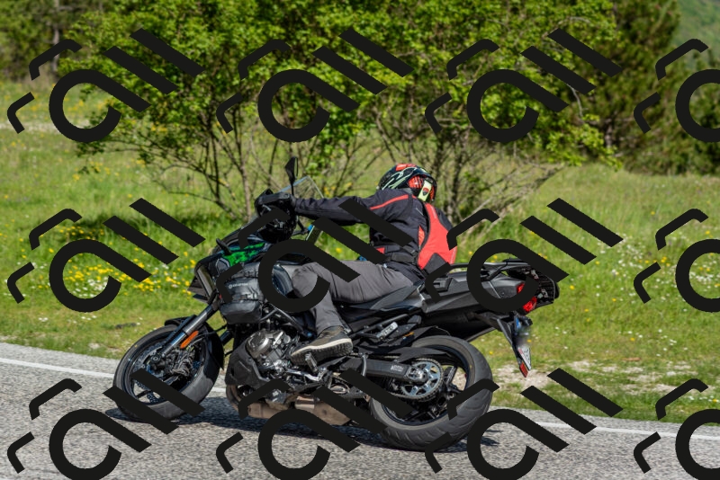 202505181016-DSC_7225_c2