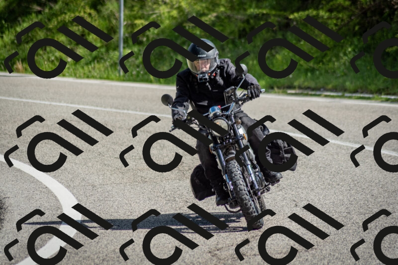 202505181016-DSC_7226_c2