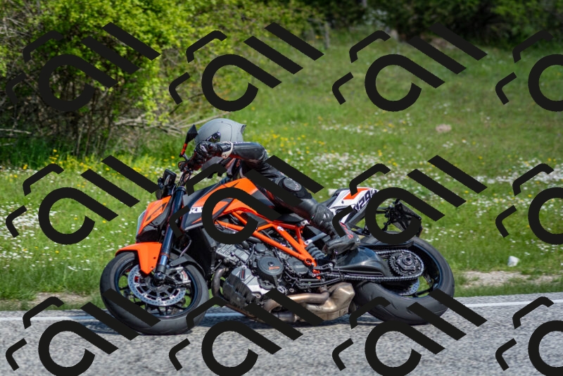 202505181019-DSC_7232_c2