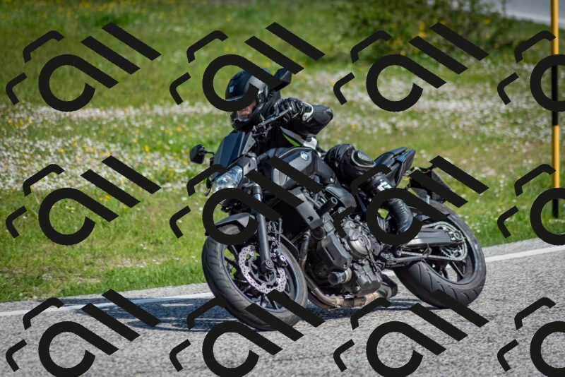 202505181019-DSC_7235_c2