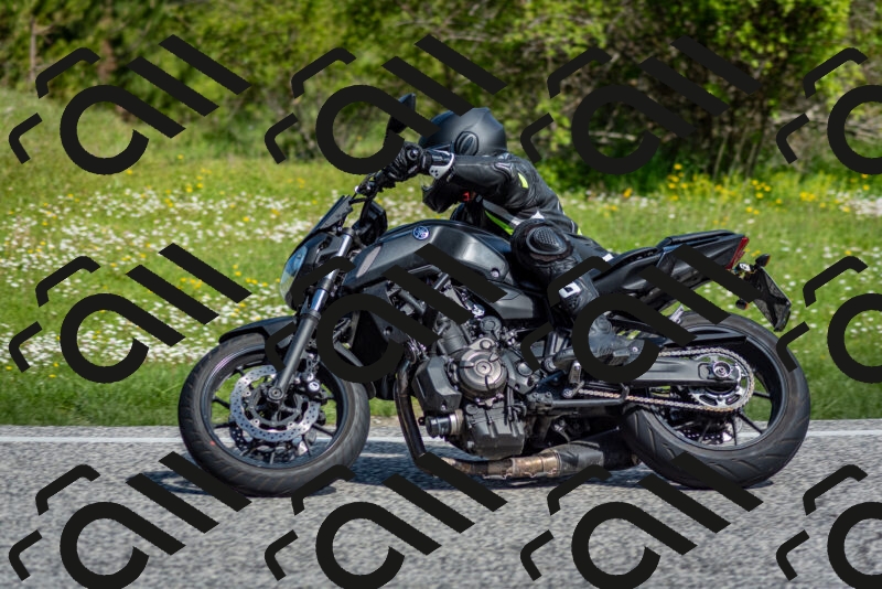 202505181019-DSC_7236_c2