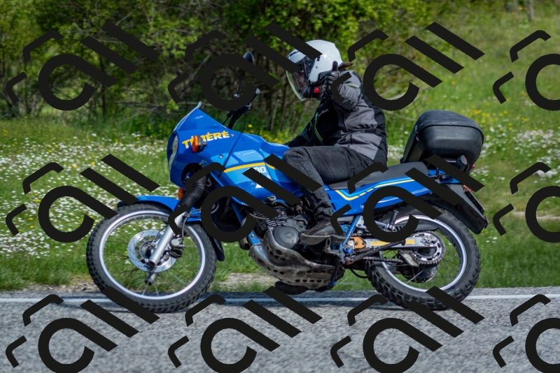 202505181019-DSC_7241_c2