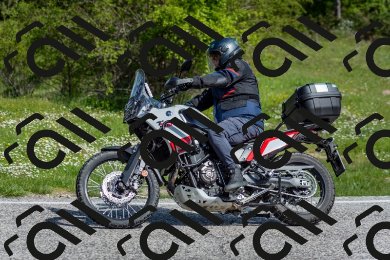 202505181019-DSC_7252_c2