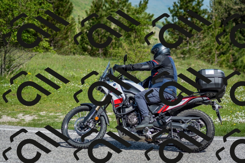 202505181019-DSC_7253_c2