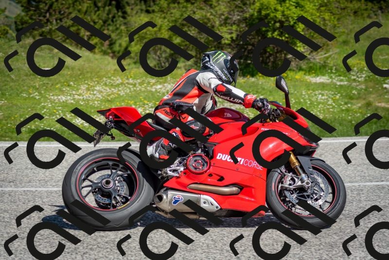 202505181022-DSC_7278_c2