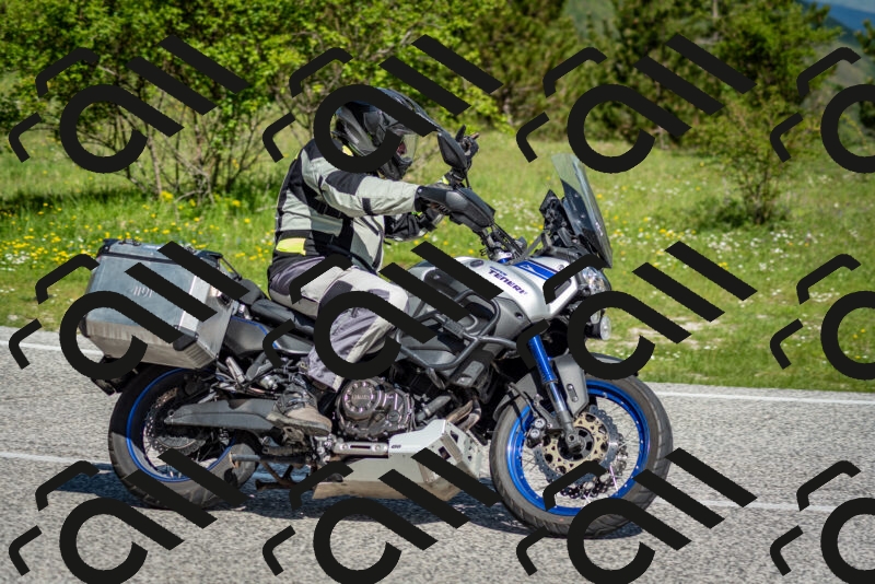 202505181023-DSC_7287_c2